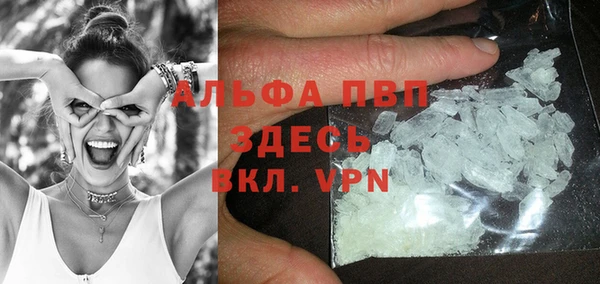 a pvp Алзамай