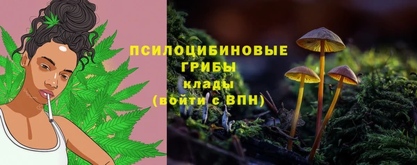 a pvp Алзамай