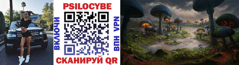 Галлюциногенные грибы Cubensis  Балтийск 