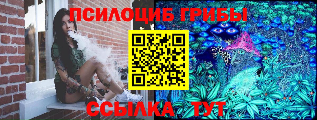 Галлюциногенные грибы GOLDEN TEACHER  Вход с VPN  Балтийск 